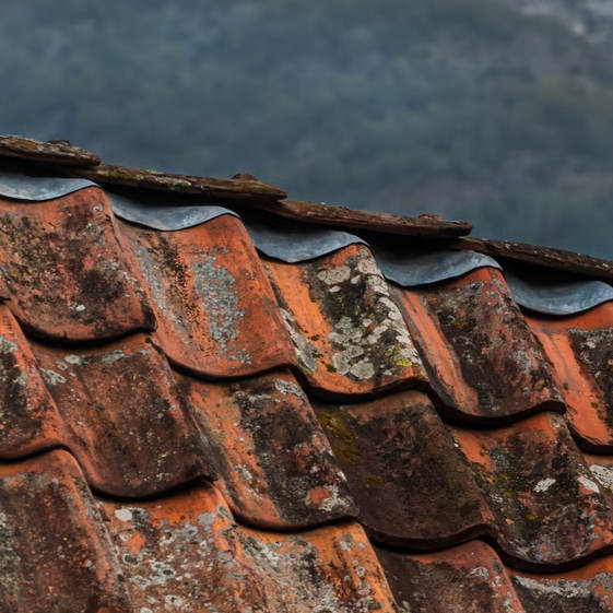 The most common roofing problems you will encounter